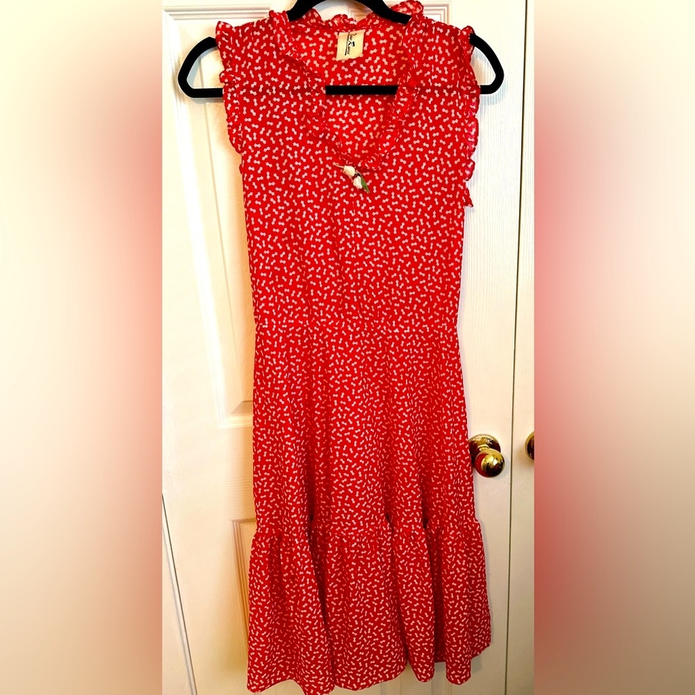 Sheer Vintage 1970’s Dress